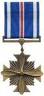 Distinguished Flying Cross - Current Government Issue