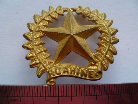 NZ 17th ruahine regt cap badge