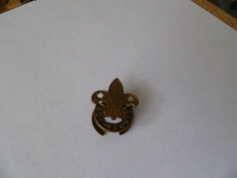 scout badge older looking m/m