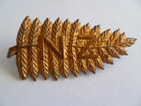 NZ army cap/hat badge boer war nz fern