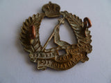 NZ army cap badge 16th waikato regt