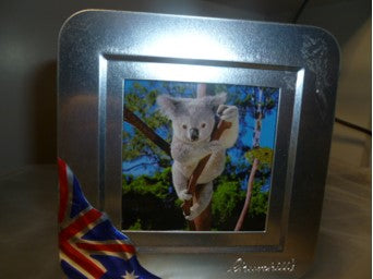 Lovely Koala Tin