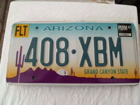 usa car  number plate arizona