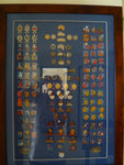 framed lot of all the olympic badges done by the major firm
