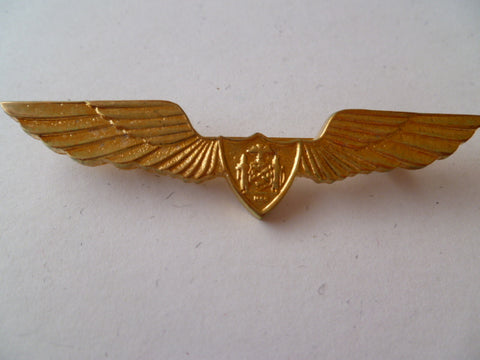 USA new york city  police pilots gold wing broach back