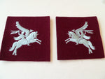 BRITAIN pegusus patches L/R pair