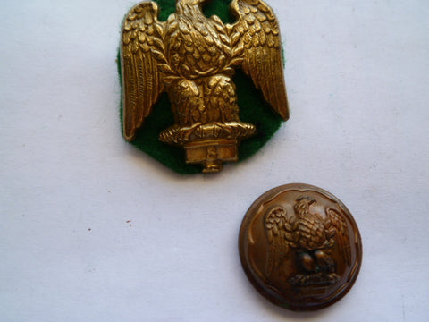 royal irish fusiliers sleeve [wo1] badge and button