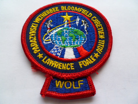 SPACE patch usa wolf