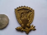 USA helmet plate from some academy?.............pn3369