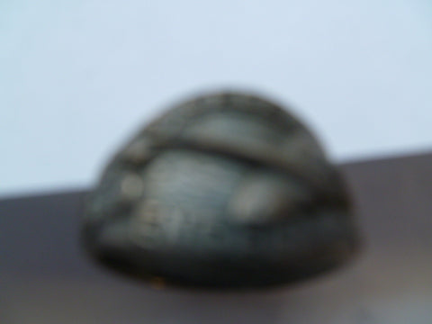 GERMAN WWII airforce ring size 11 only