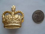 australia large crown 37mm high