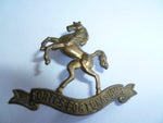 nz 9th wellington mounted rifles cap badge