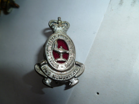 aust army nursing corp collar badges 2 lugs Q/C vietnam