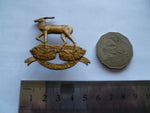 south africa pretoria regt princess alices own cap badge